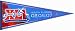 Super Bowl XLI Pennant