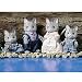 International Playthings, Inc, Families, Calico Critters, Fisher Cat Family