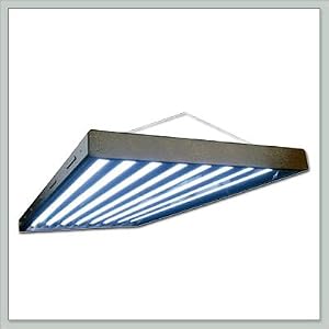 Grow Light Fixture | 8 bulb by No