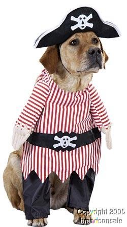 Pet Pirate Dog Halloween Costume For Small Dogs 