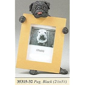 Pug (Black)-2.5