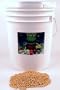 Dried Soy Beans- Organic Sprouting Seed - 35 Lbs - High Germination Rate - Soybeans for Seed, Sprouting Sprouts, Making Soymilk & Tofu, Food Storage