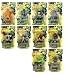 Ben 10 (Ten) 4 Inch Alien Collectible Series 2 Set of 10 Battle Versions