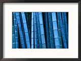Bamboo, Kyoto, Japan Framed Photographic Poster Print by Frank Carter, 21x17