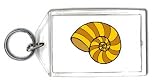 Keychain with shell, mollusk, seashell