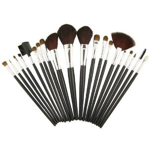 20 Black Makeup Set Cosmetic Brush w/ Case Kit