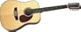 Rogue Herringbone 12-String Acoustic Guitar Natural