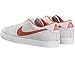 Nike Men's Zoom All Court Ck Skate Shoe