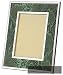 Green Python Print frame by Thistle & Bee