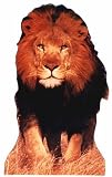 Lion - Cardboard Stand-Up