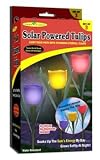Garden Creations JB5431 S/3 Solar Powered Tulips, 3-Pack