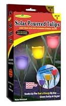 Garden Creations JB5431 S/3 Solar Powered Tulips, 3-Pack