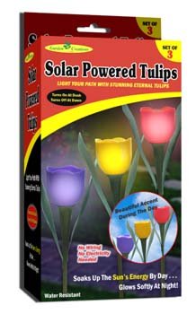 Garden Creations JB5431 S/3 Solar Powered Tulips, 3-Pack