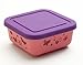 Brinware / Garden Party Glass Food Storage Container with Silicone Sleeve