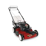 IMAGE OF TORO 22in. FWD Recycler Mow