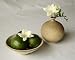Posters: Flowers Poster Art Print - Still Life, Fresias Limes Florence Rouquette (20 x 16 inches)