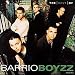 The Barrio Boyzz - The Best of the Barrio Boyzz