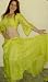 Lemon/Lime Silk Harem Pants
