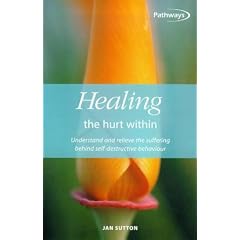 Healing the Hurt within: Understand and Relieve the Suffering Behind Self-destructive Behaviour (How to Books (Midpoint))