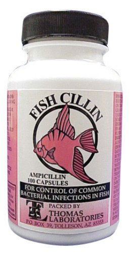 Buy Fish Cillin (Ampicillin 250 mg) – 100 Caps