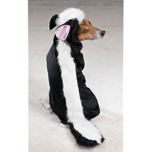 MEDIUM - LITTLE STINKER - Dog Halloween Costume