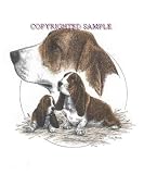 Basset Hound - Trio Image by Cindy Farmer