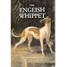 The English Whippet