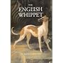 The English Whippet