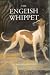 The English Whippet