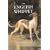 The English Whippet