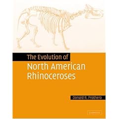 The Evolution of North American Rhinoceroses