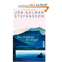 Der Schmerz der Engel: Roman