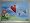 www.soundtreiber.com - Depesche Soundkarte mit dem Song: Love is in the air Nr. 49