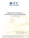 Webhosting in deutschen Unternehmen - eine Umfrage, 2004