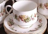 Review royal standard  / Royal Standard Lyndale Cup and Saucer