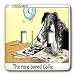 Londons Times Funny Dogs Cartoons - Bored Border Collie - Light Switch Covers - double toggle switch
