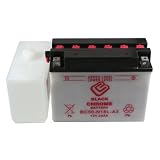 U50-N18L-A3 Y50-N18L-A3 Yamaha 1100L Motorcycle Battery