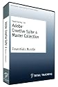 Total Training for Adobe Creative Suite 4 Master Collection: Essentials Bundle (Mac/PC DVD)