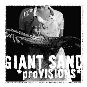 Provisions [VINYL]