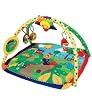 Baby Einstein Play Gym