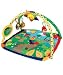 Baby Einstein Play Gym