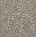 Shaw Industries, Inc. 5448080570 24" x 24" Elector