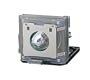 Sharp Electronics AN-MB60LP Projector Lamp for PGMB60X