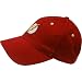 Flash Classic Logo Baseball Cap