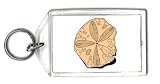 Keychain with sand, dollar, back