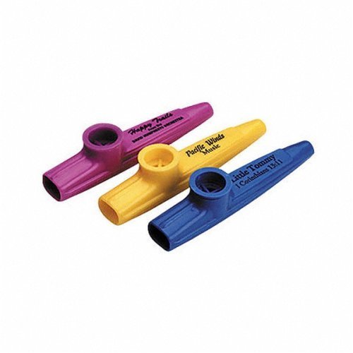 Childrens Toyshop  Musical Instruments : Hohner Kazoo