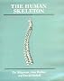 The Human Skeleton