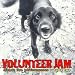 Volunteer Jam Classic Live Performances, Vol. 2