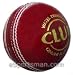 Sporting Goods : SG Club leather Cricket Ball