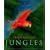 Jungles (Jumbo)